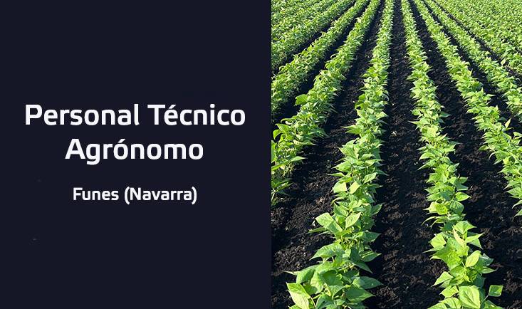Oferta Empleo Customer Care
